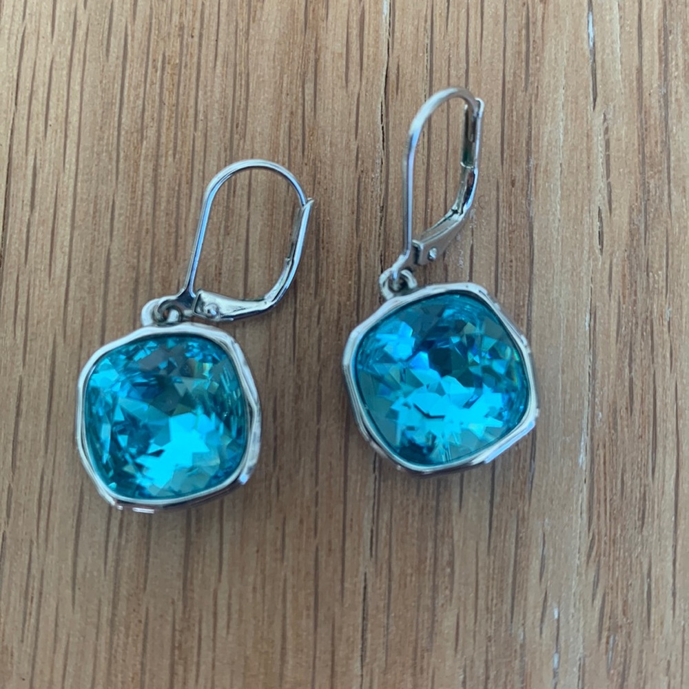 Touchstone Earrings NWOT